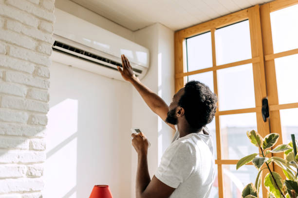 Best HVAC Air Duct Cleaning  in Williams, AZ