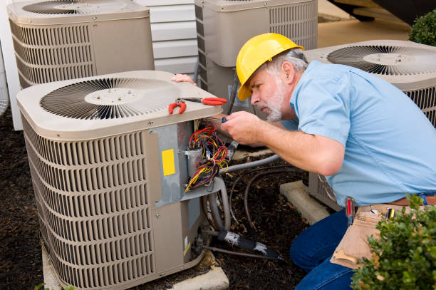 Best HVAC Air Duct Cleaning  in Williams, AZ