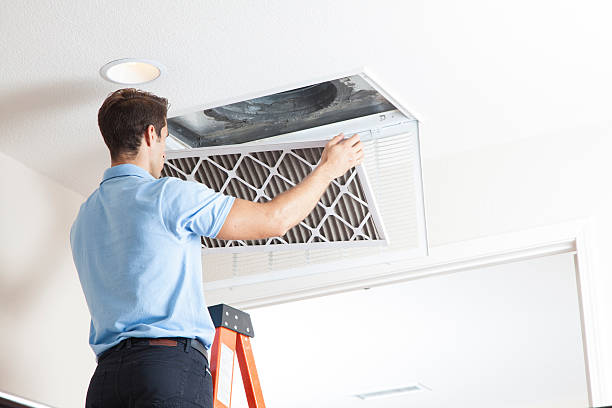 Best HVAC Air Duct Cleaning  in Williams, AZ